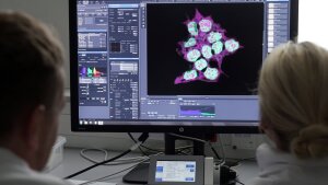 Zellgewebe auf dem Monitor eines Fluoreszenzmikroskops.