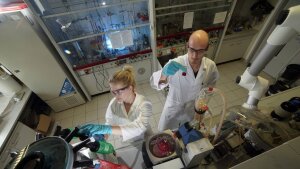 A female and a male chemist working in the synthesis lab.