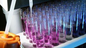 test tubes containing pink fuid